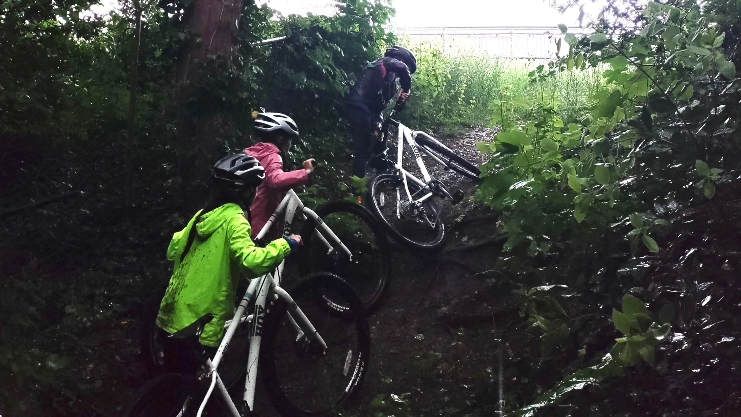 Cyclocross trails hotsell